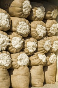 Wool